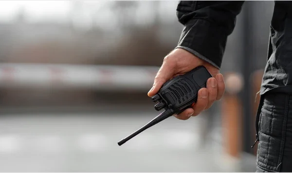 Another Example of an Past Event